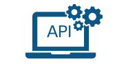API Customization